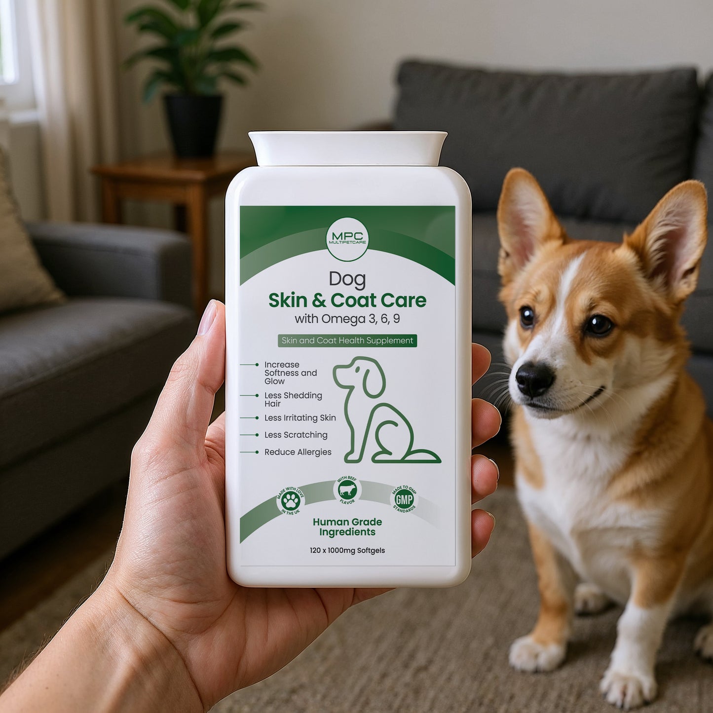 Dog Skin & Coat Care With Omega 3-6-9